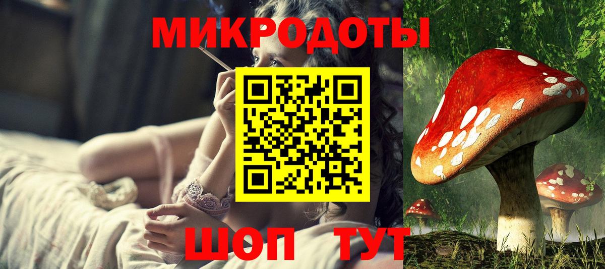 Галлюциногенные грибы Psilocybe Знаменск