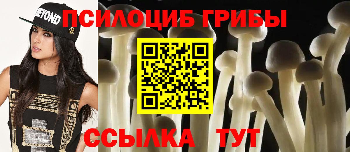 Псилоцибиновые грибы мицелий  Вход с VPN  Знаменск  Галлюциногенные грибы Psilocybine cubensis 
